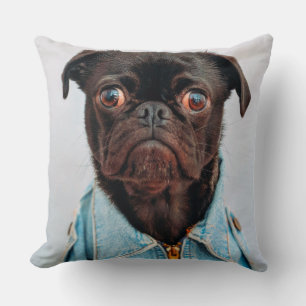 Coussin Carlin en Denim Jackey Cute Adorable Chien Chien C