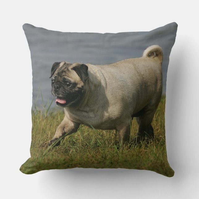 Coussin Carlin jouant près de l'eau (Recto)