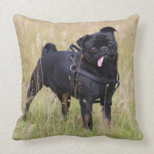 Coussin Carlin noir collant Tounge