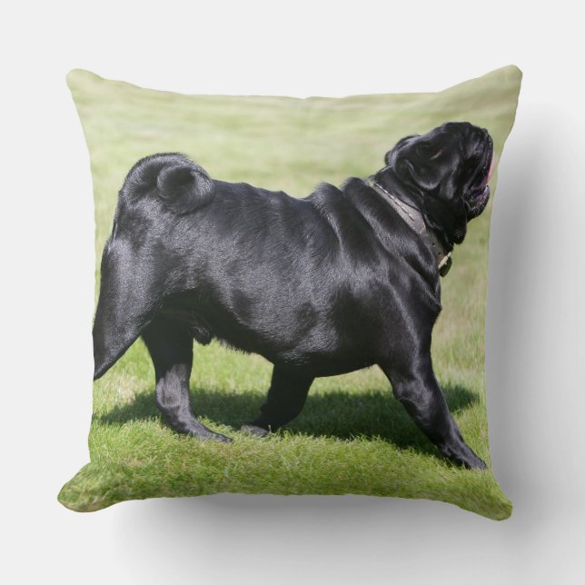 Coussin Carlin noir haletant tout en marchant (Recto)