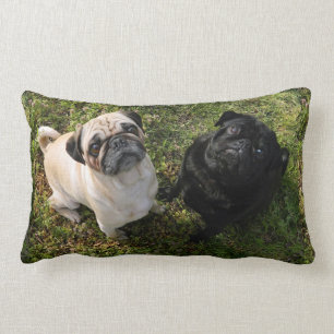 Coussin Carlin personnalisé, Carlins noir et blanc