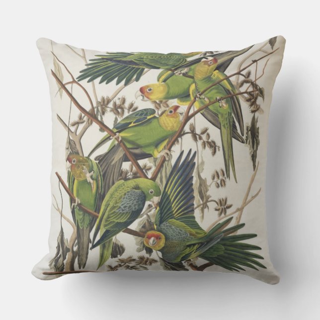 Coussin Carolina Parakeet, de 'Birds of America', 1829 (Recto)