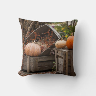 Coussin Caroline du Nord, Linville, citrouilles d'automne