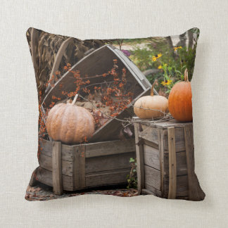 Coussin Caroline du Nord, Linville, citrouilles d'automne