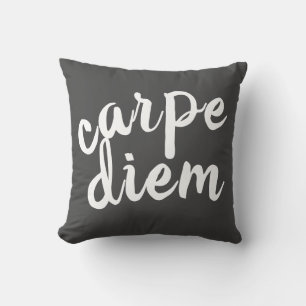Coussin carpe diem gris et blanc gras citation moderne