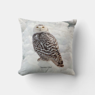 Coussin carré de Snowy Owl