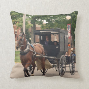 Coussin Carreau amish