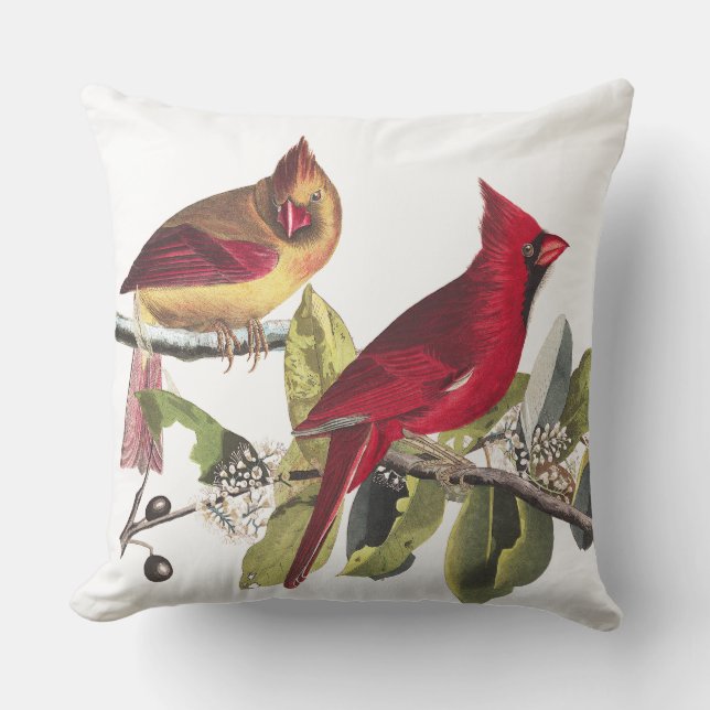 Coussin Carreau cardinal rouge d'Audubon de faune (Recto)