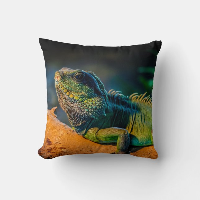 Coussin Carreau carré d'iguane (Recto)