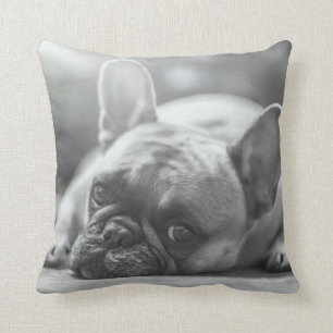 Coussin Carreau de bouledogue français