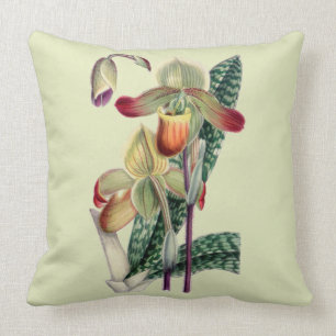 Coussin Carreau de Celadon d'orchidée de Madame pantoufle