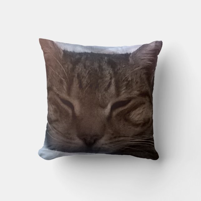 Coussin Carreau de chat (Recto)