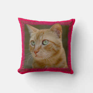 Coussin Carreau de chat de gingembre