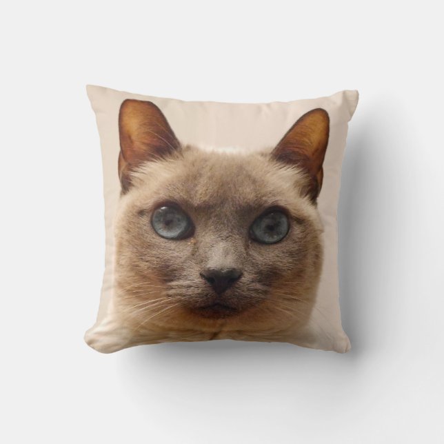 Coussin Carreau de chat siamois (Recto)