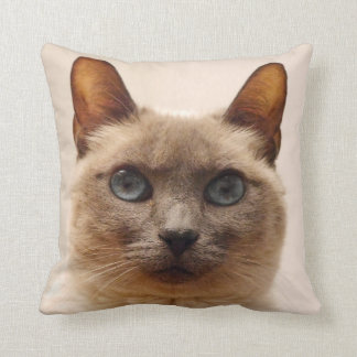 Coussin Carreau de chat siamois