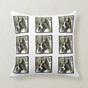 Coussin Carreau de chien de boxeur