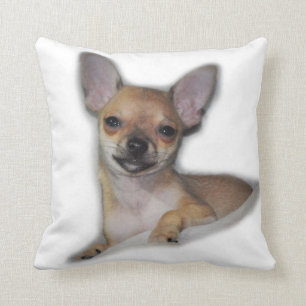 Coussin Carreau de chiwawa