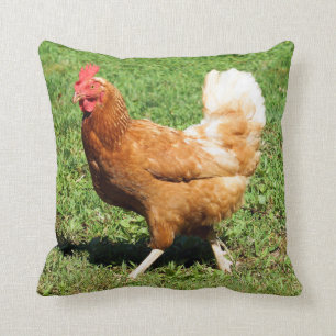 Coussin Carreau de coq