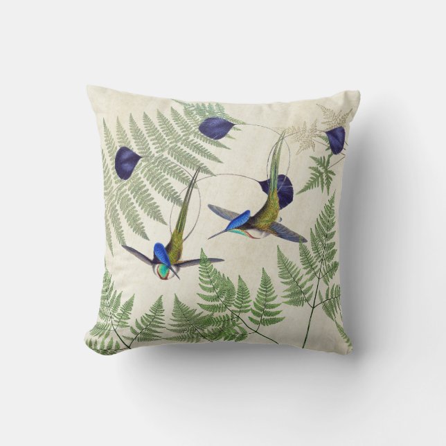 Coussin carreau de fougères d'oiseaux de colibri de (Recto)