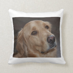 Coussin Carreau de golden retriever