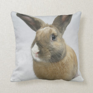 Coussin Carreau de lapin de MHRR Honeybadger