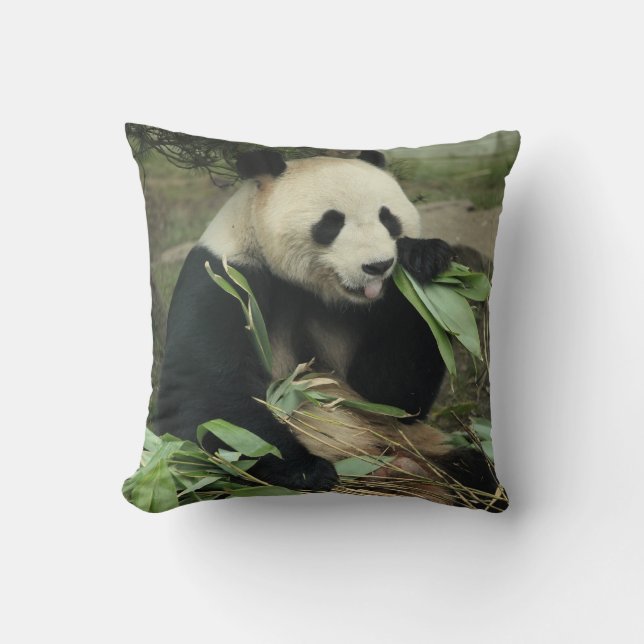 Coussin Carreau de panda géant et de panda de bébé (Recto)