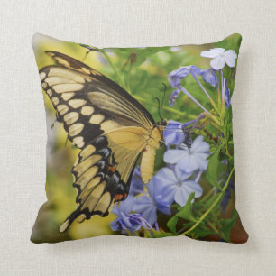 Coussin Carreau de papillon de machaon