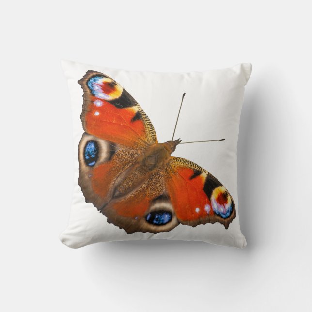 Coussin Carreau de papillon de paon (Recto)
