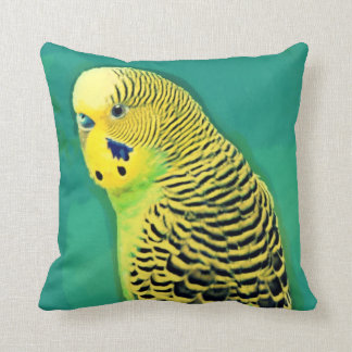 Coussin Carreau de perruche/perruche