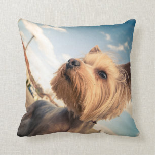 Coussin Carreau de photo d'animal familier