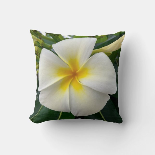 Coussin Carreau de Plumeria (Recto)