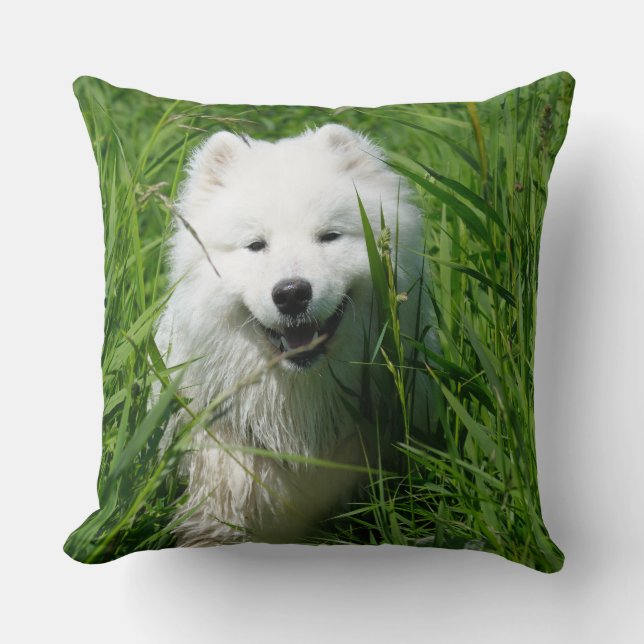 Coussin Carreau de Samoyed (Recto)