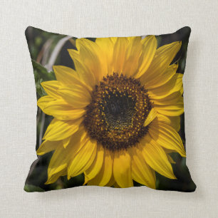 Coussin Carreau de tournesol