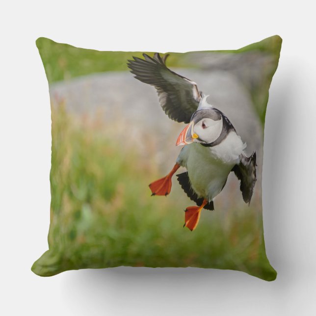 Coussin Carreau de vol d'oiseau de macareux atlantique (Recto)