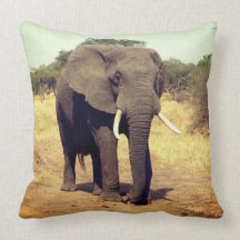 Carreau décoratif d'accent d'éléphant