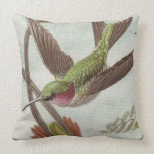 Coussin Carreau décoratif de colibri d'Aqua/turquoise