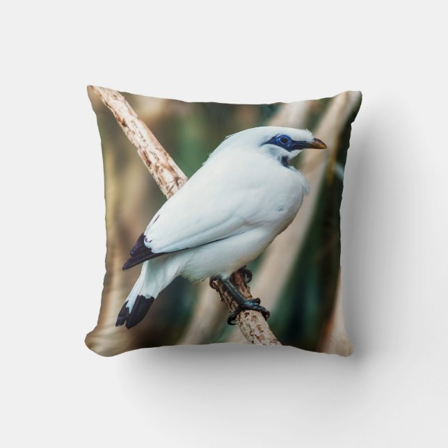 Coussin Carreau d'oiseau de Bali Myna (Recto)