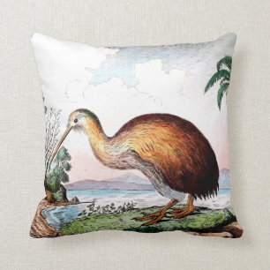 Coussin carreau d'oiseau de kiwi
