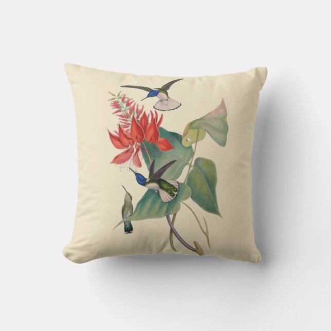 Coussin Carreau extérieur 16X16 d'haricot de corail de (Recto)