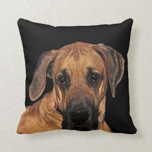 Coussin Carreau géant doux de great dane