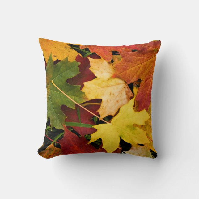Coussin "Carreau impressionnant d'automne " (Recto)