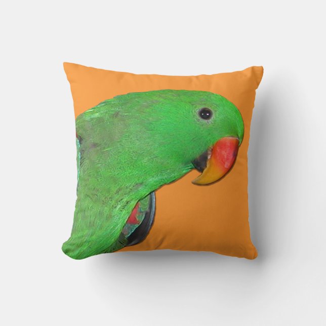 Coussin Carreau masculin de perroquet d'Eclectus (Recto)