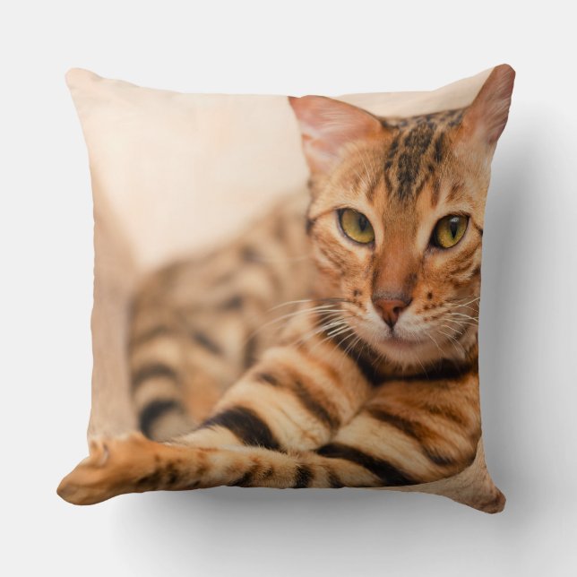 Coussin Carreau mignon 20" de polyester de chat x 20" (Recto)