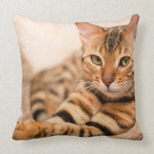 Coussin Carreau mignon 20" de polyester de chat x 20"
