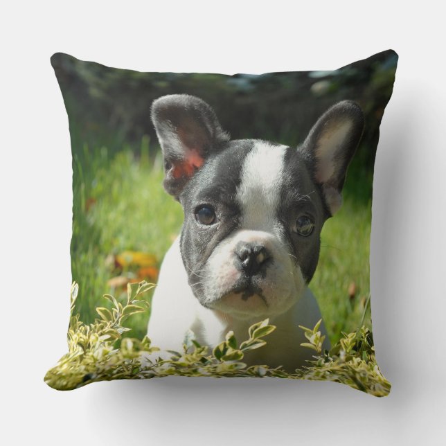 Coussin Carreau mignon de chiot de bouledogue français (Recto)