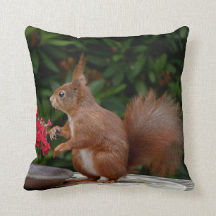 Coussin Carreau mignon de coutume d'écureuil