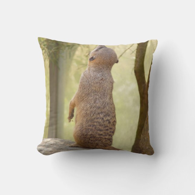 Coussin Carreau mignon de Meerkat (Recto)