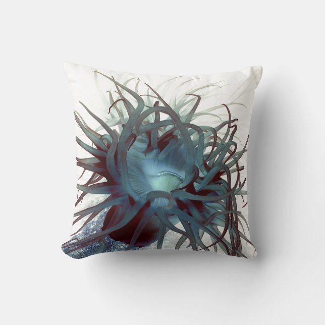 Coussin Carreau nautique d'espèce marine d'actinie (Recto)