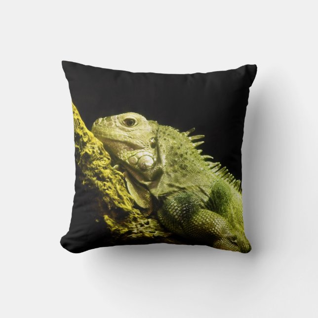 Coussin Carreau noble d'iguane (Recto)