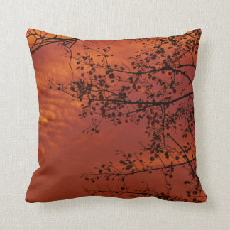 Coussin carreau orange avec la saveur asiatique